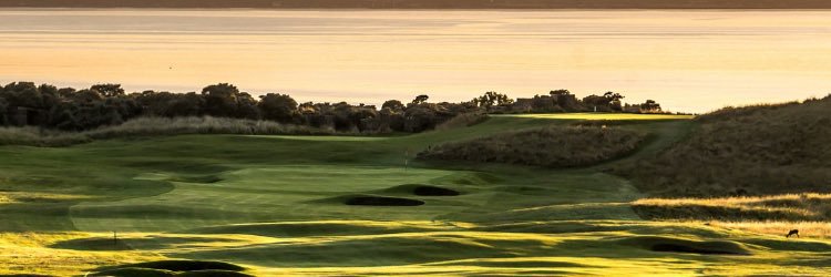 saintee65's profile banner image