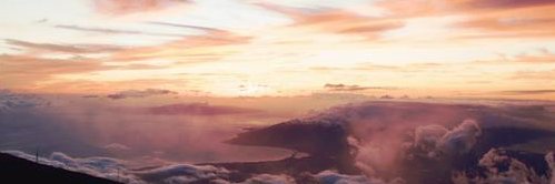 gina elizalde banner
