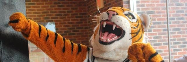 GCActivitiesCouncil banner