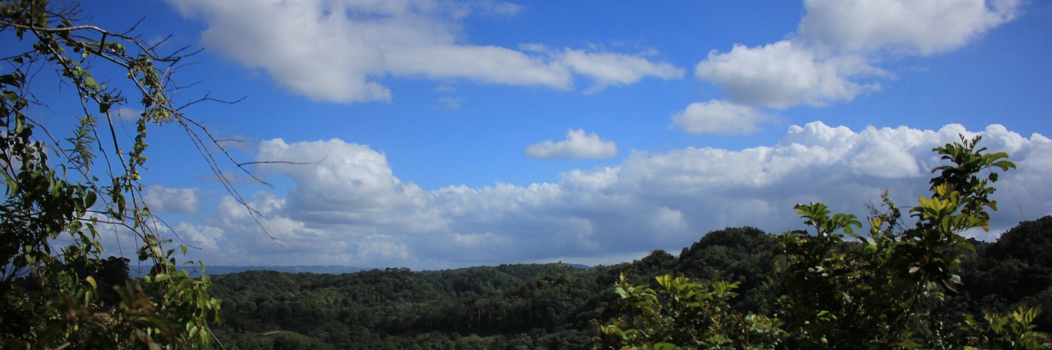 lucildogomez's profile banner image