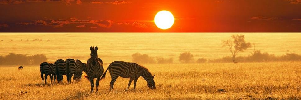 Africa United banner