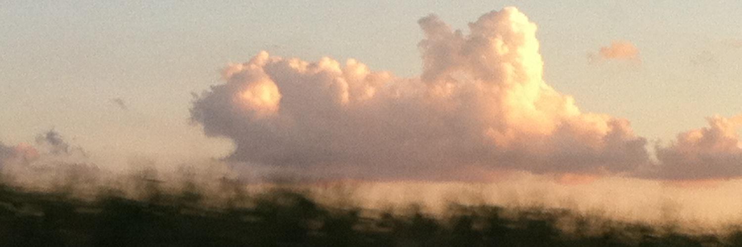 haggischick007's profile banner image