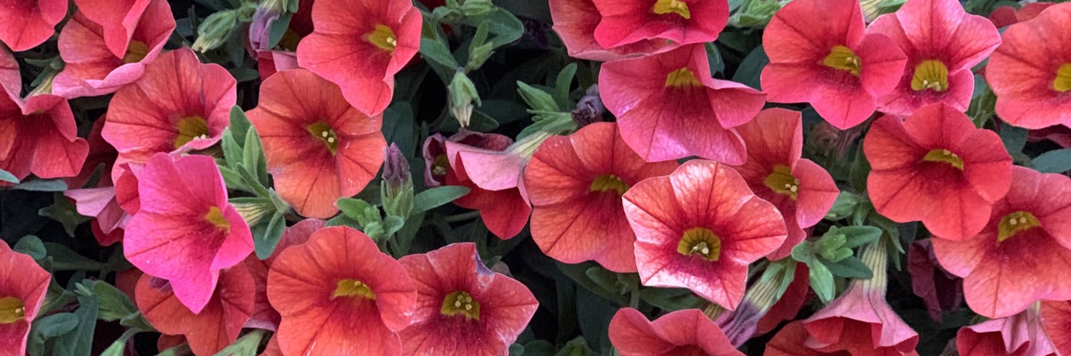 mau_jenn's profile banner image