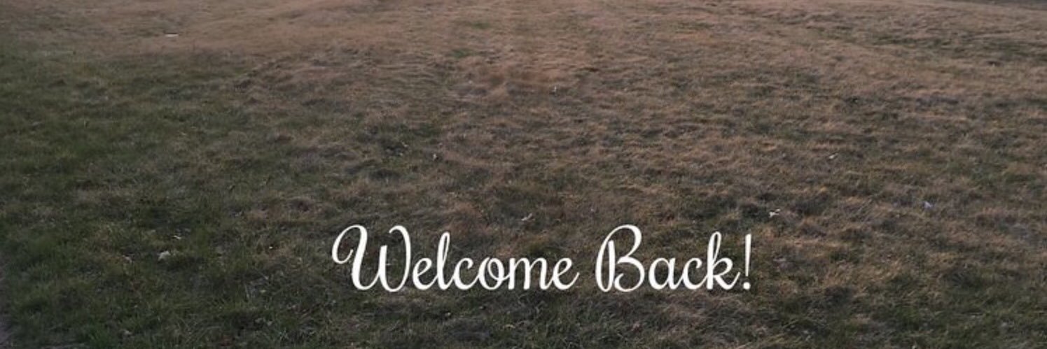 SheepandPen's profile banner image