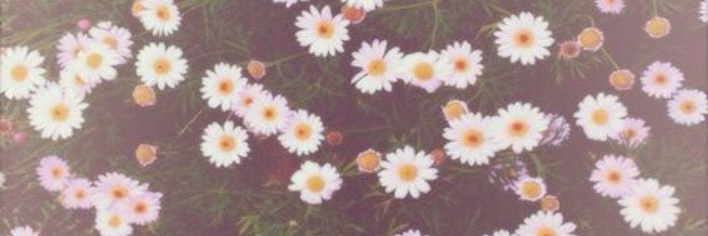 xAnnne__'s profile banner image