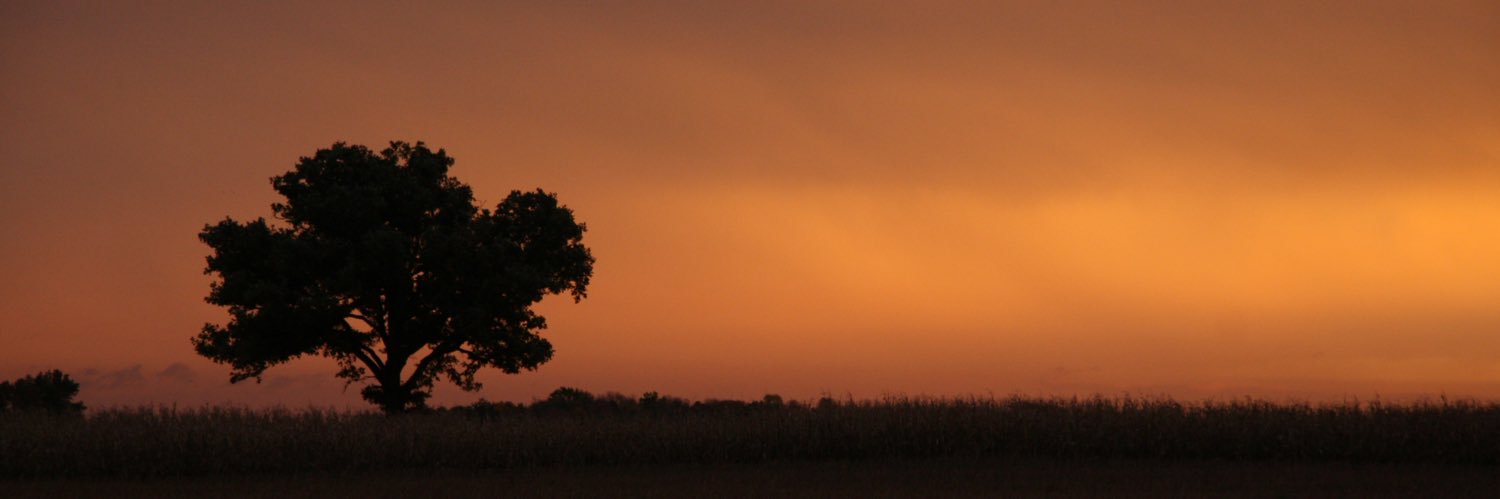 ScottFerguson77's profile banner image