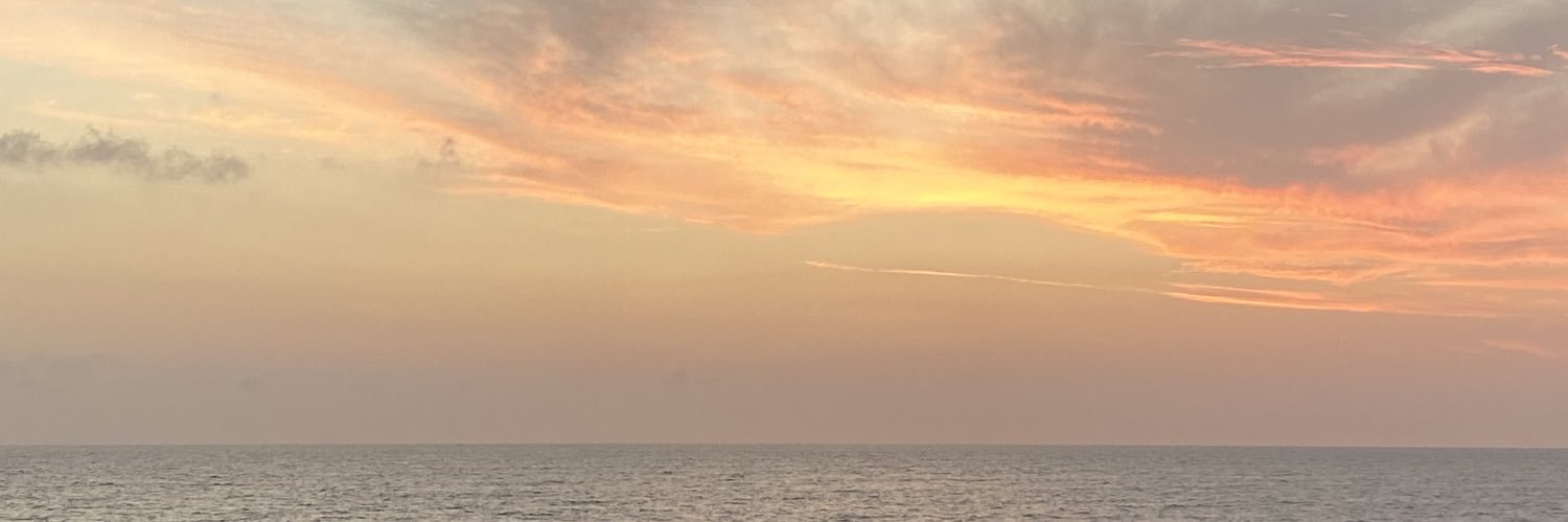 elsiewinniee's profile banner image