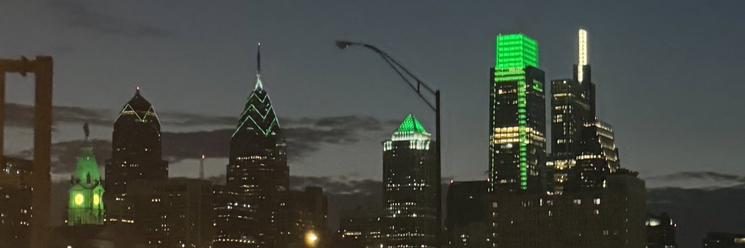 1alanis_'s profile banner image