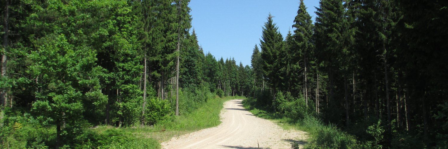 Sintija Valucka banner