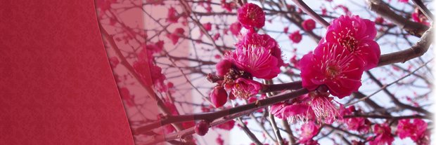 tcwong5's profile banner image