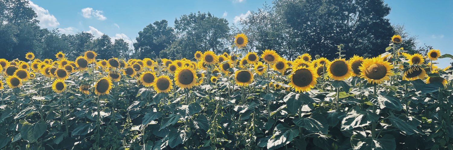 leftoverbaggage's profile banner image