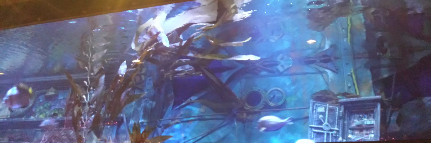 brijabrue's profile banner image