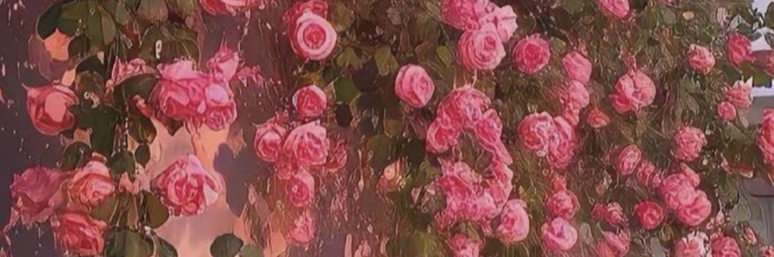 ashumuj's profile banner image