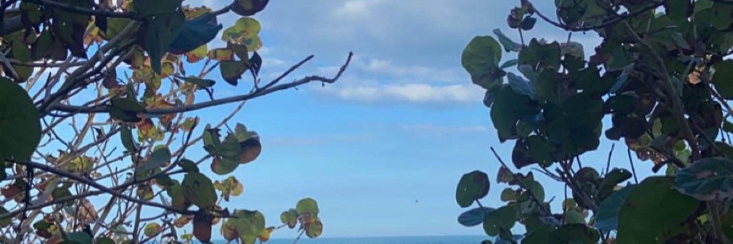 vrtlglry723's profile banner image