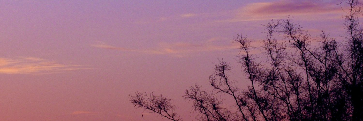 viccctttto's profile banner image