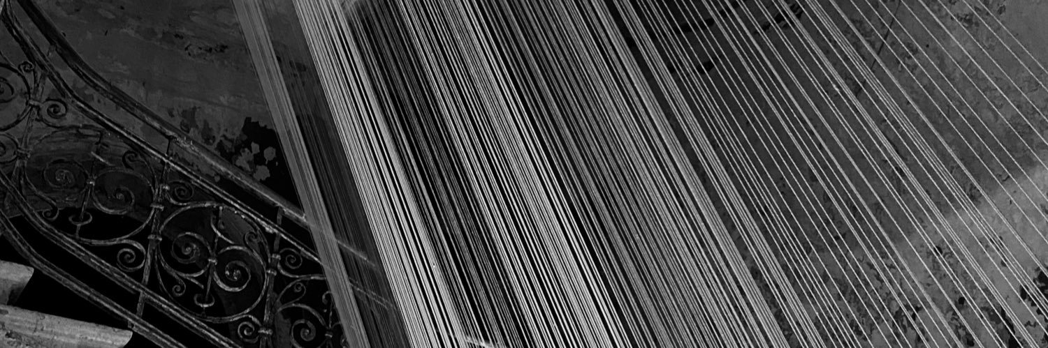 s.evilin banner