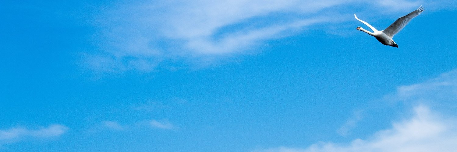 pixelArcanix's profile banner image