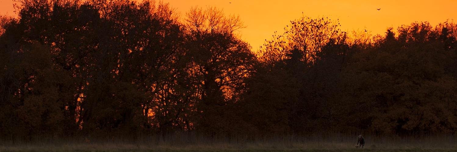 lovetilehurst's profile banner image