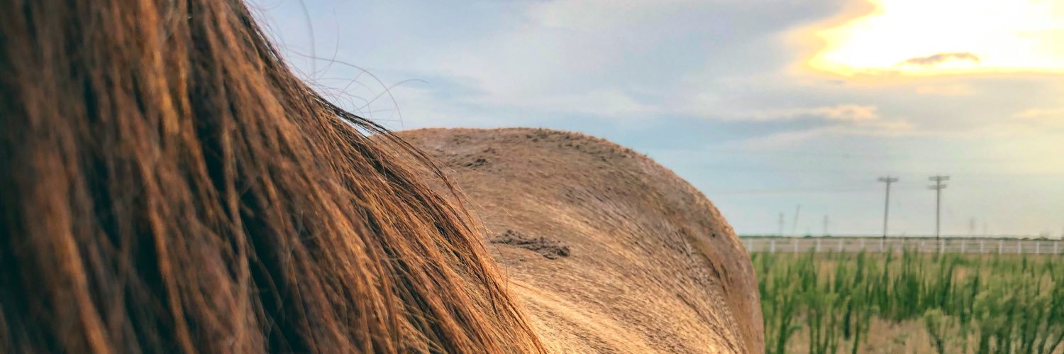 MullKylie's profile banner image