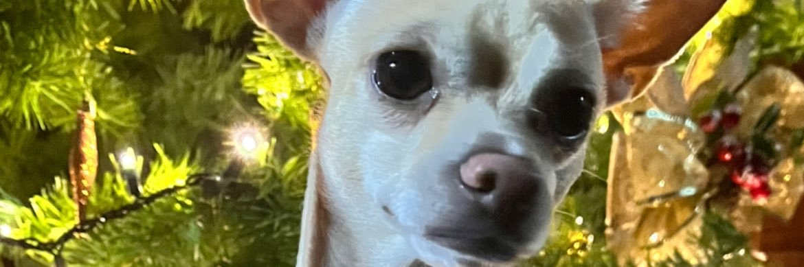 temxcional's profile banner image