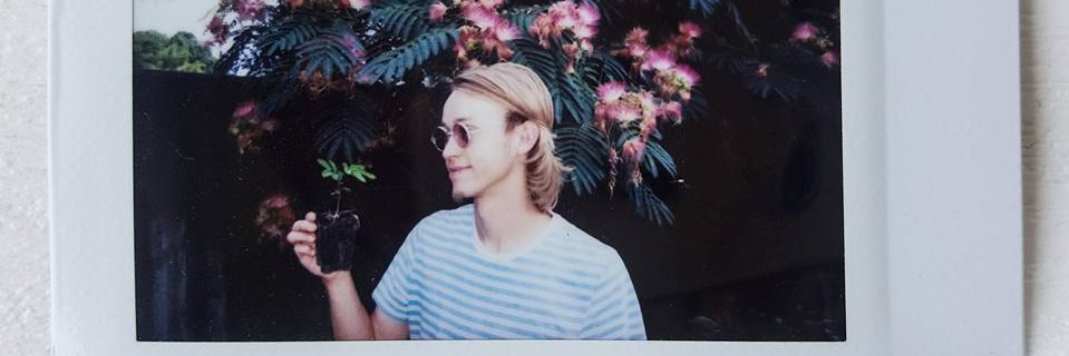 LibertySnowball's profile banner image