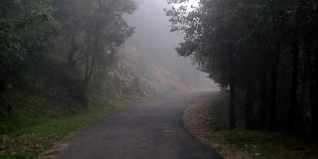 hi. im billy bob. banner