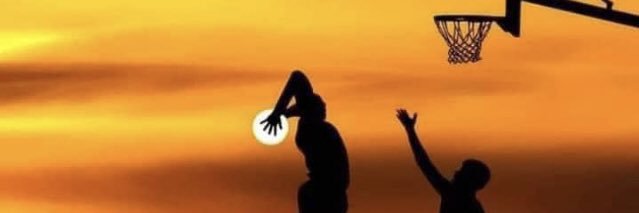 Sean Kirkendall banner