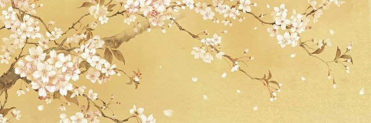 _munncari's profile banner image