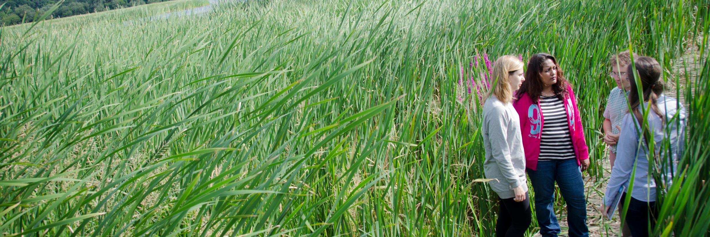 MacWaterNet's profile banner image