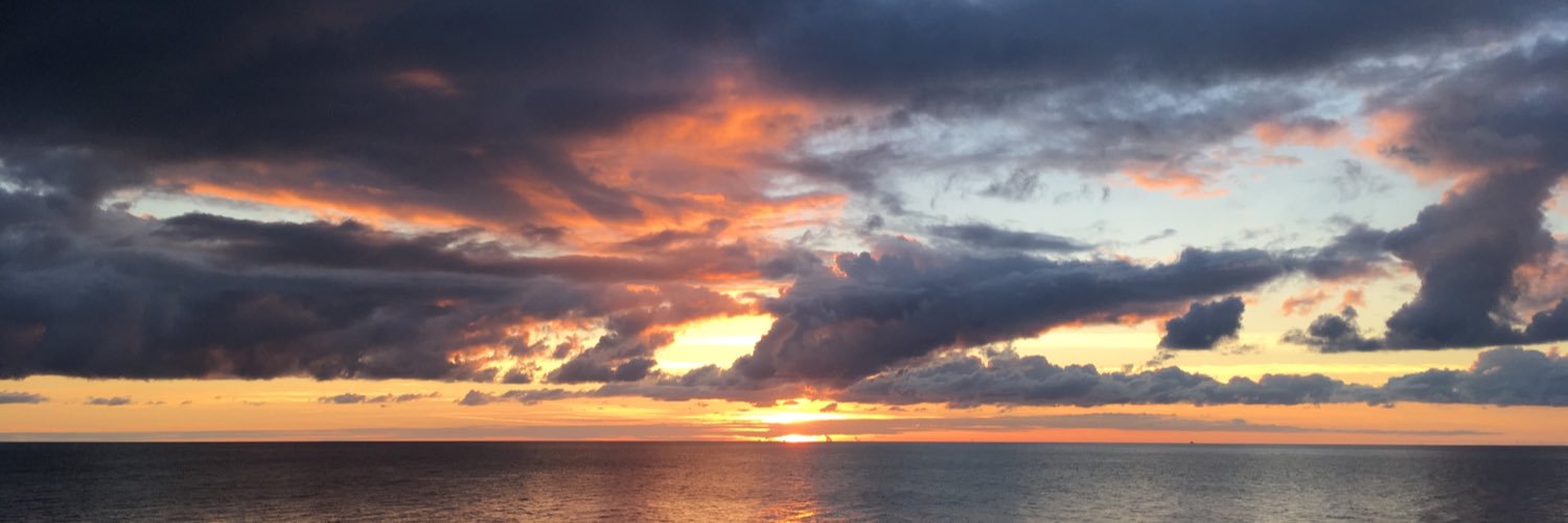 lthrelly's profile banner image