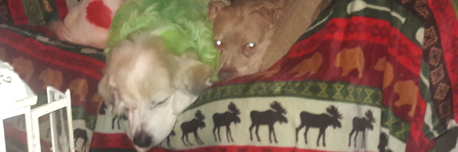 janice524's profile banner image