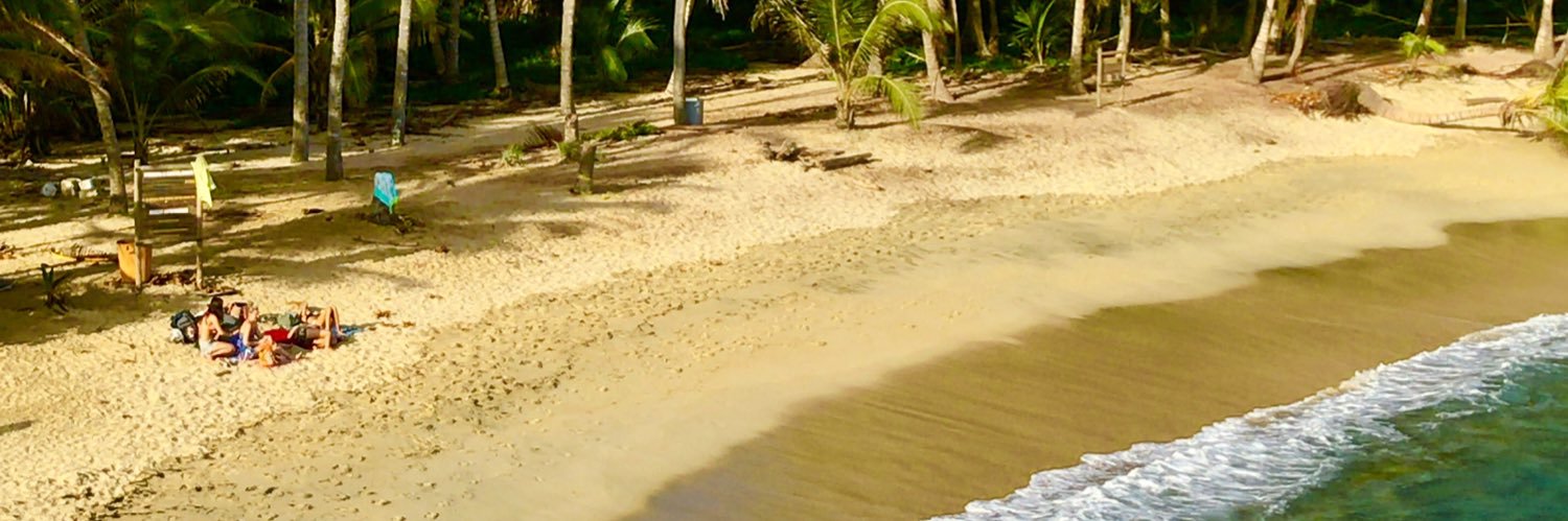 Eduardo Castro banner