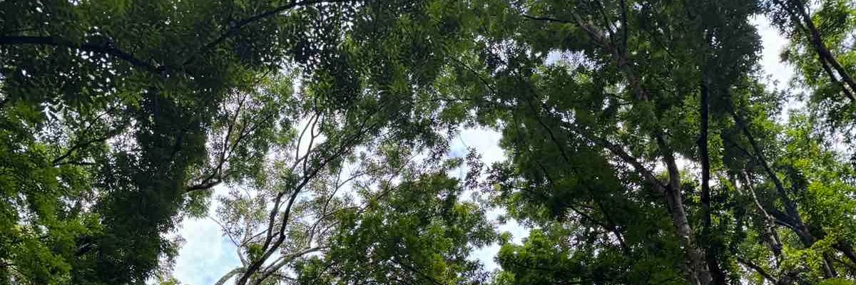 ivnolyvr's profile banner image