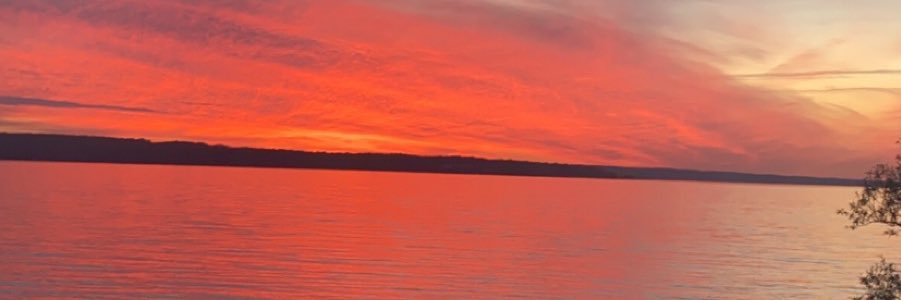 gracesiehler's profile banner image