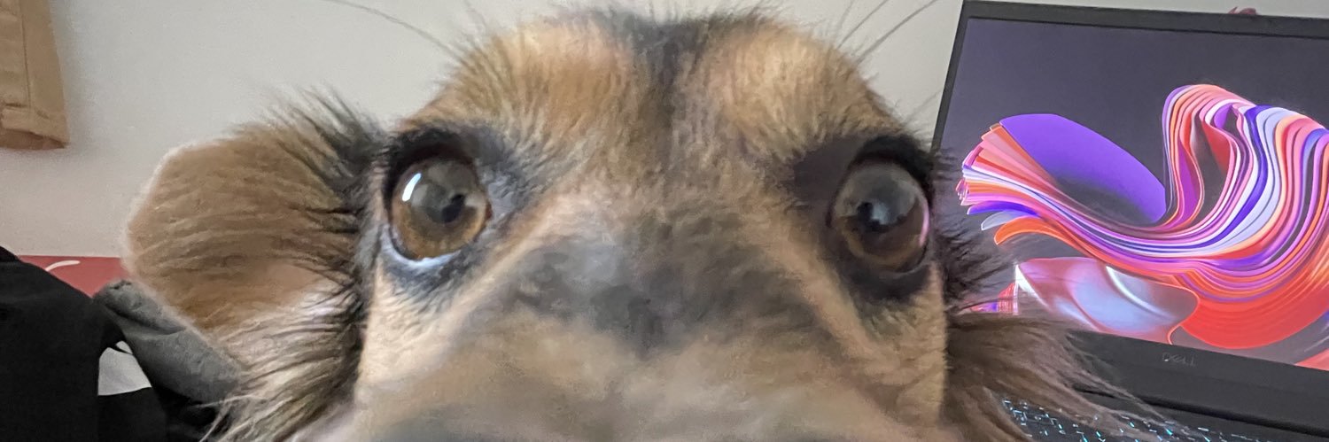 Perdigao Volante banner