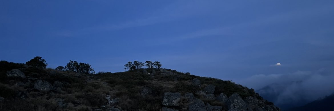 patogoomzz's profile banner image