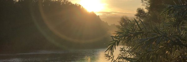zzzure Profile Banner