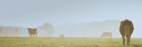 TheYieldLab Profile Banner