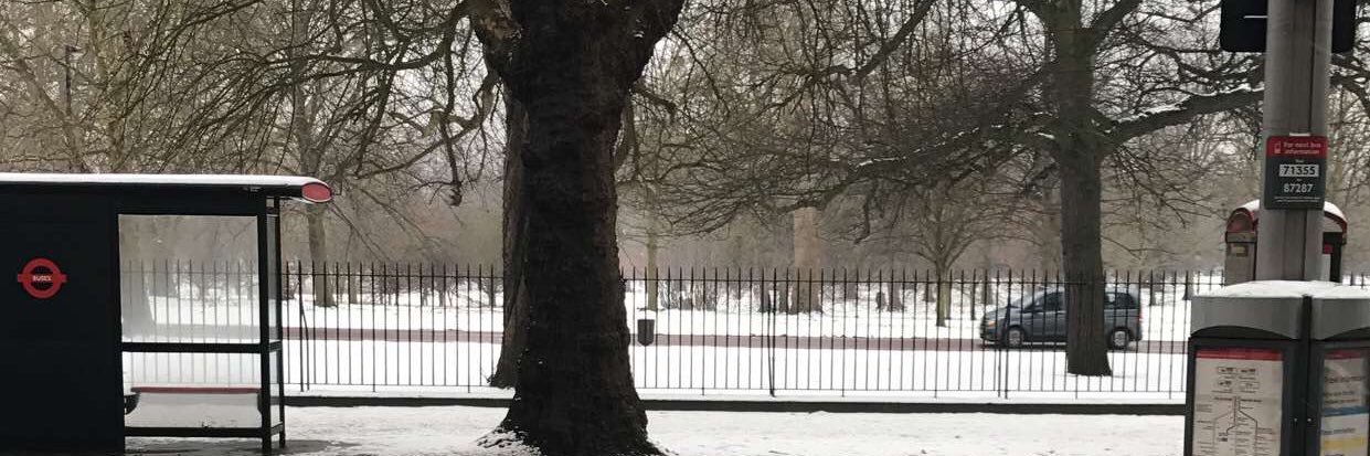 فيصل العتيبي banner