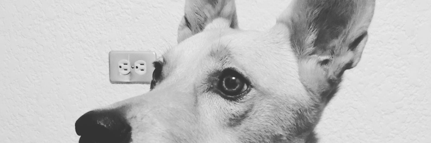 fridagarciagca's profile banner image