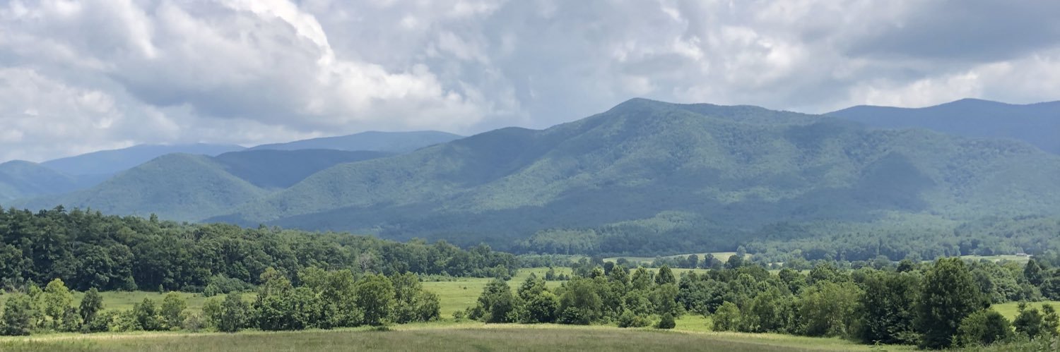 joechols23's profile banner image