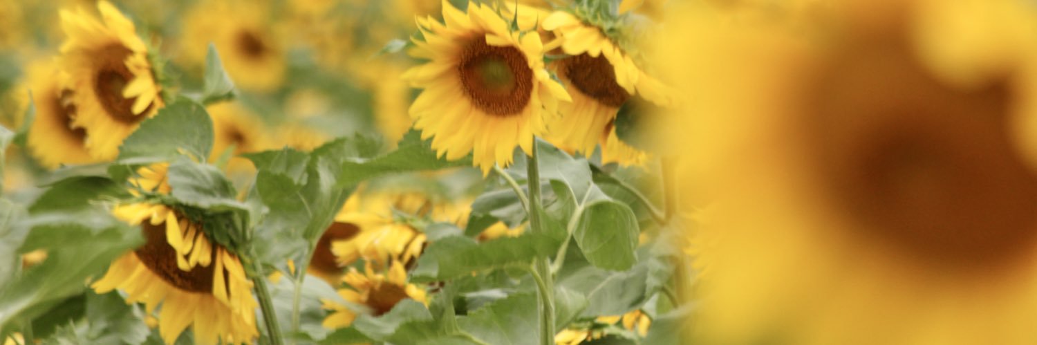 TaraLowryPhoto's profile banner image