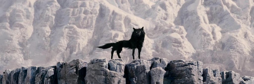 nzillier's profile banner image
