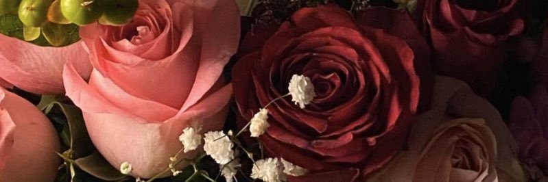 أم لورين banner