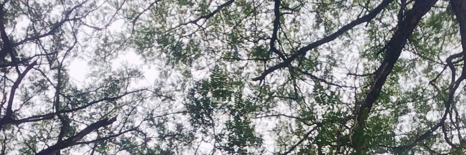 LookItsJasmin's profile banner image