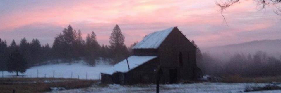 PunkRockFarm's profile banner image