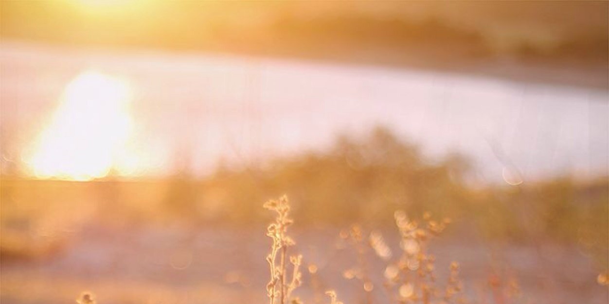 darbeyrhea12's profile banner image