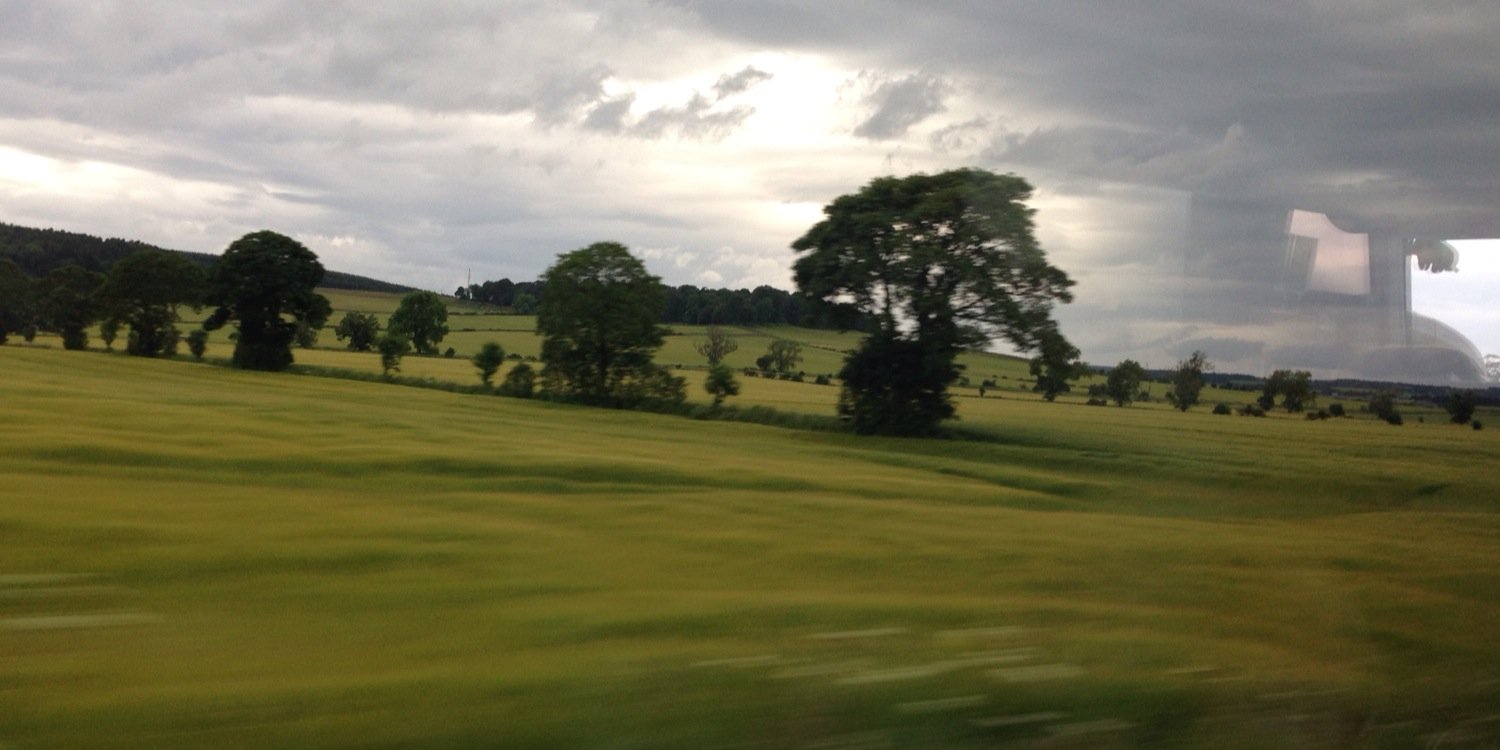 Betsey Vastbinder banner