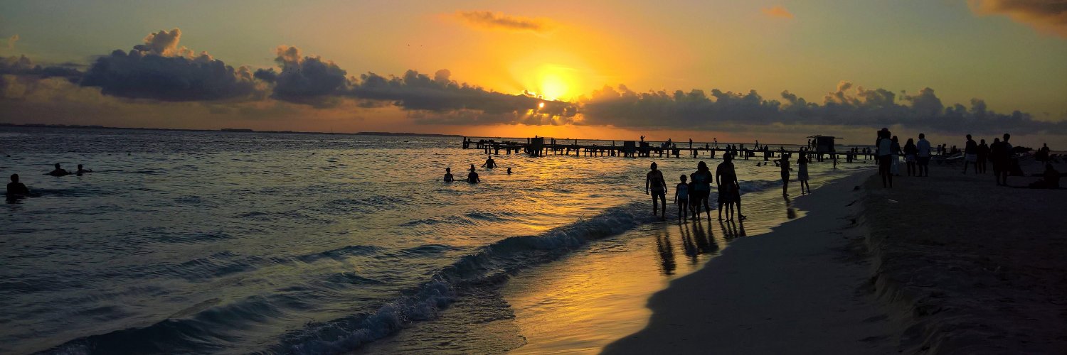 Taylor Saylor banner