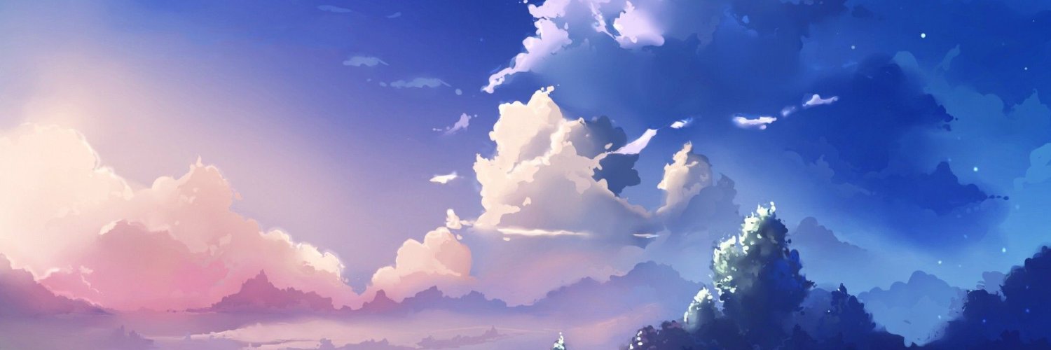 birdirin's profile banner image